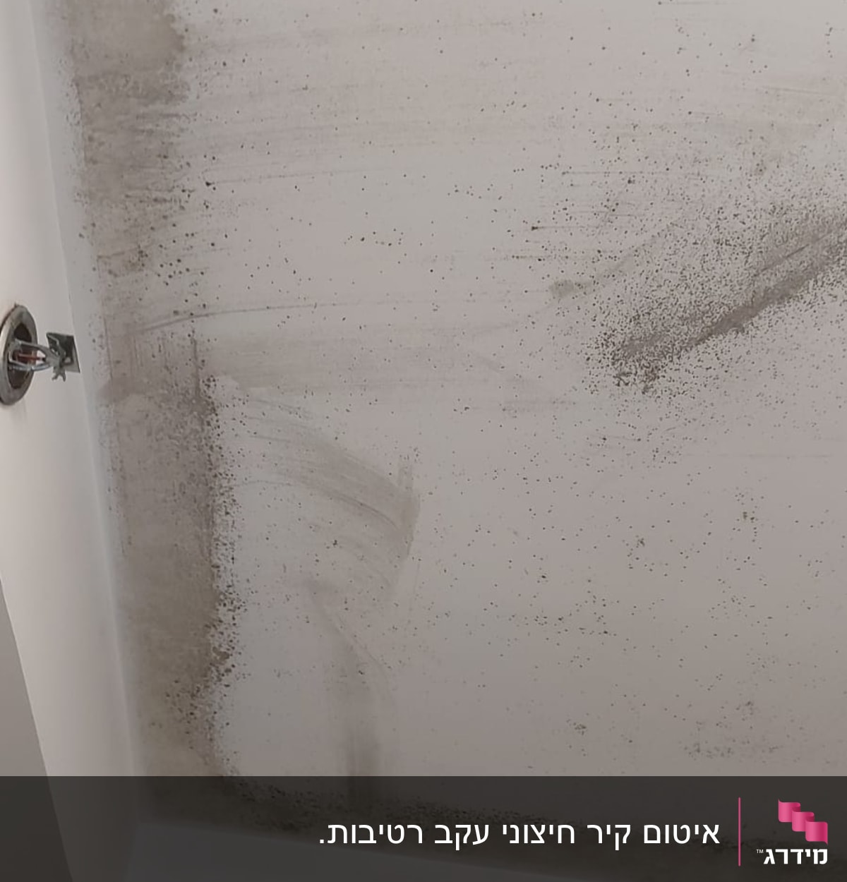 תקרה עם כתמי עובש ולכלוך, חור לתאורה